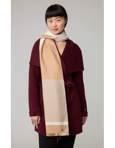 Foulard Soia & Kyo de couleur Taupe 2023